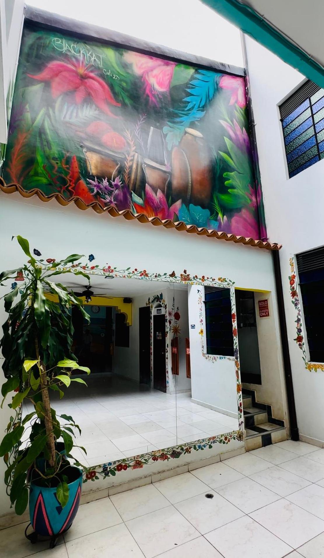 Havana Hostel Cali & Dance School 외부 사진